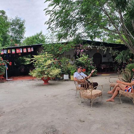 Alojamiento Casa De Campo Los Cactus Villavieja Eksteriør bilde