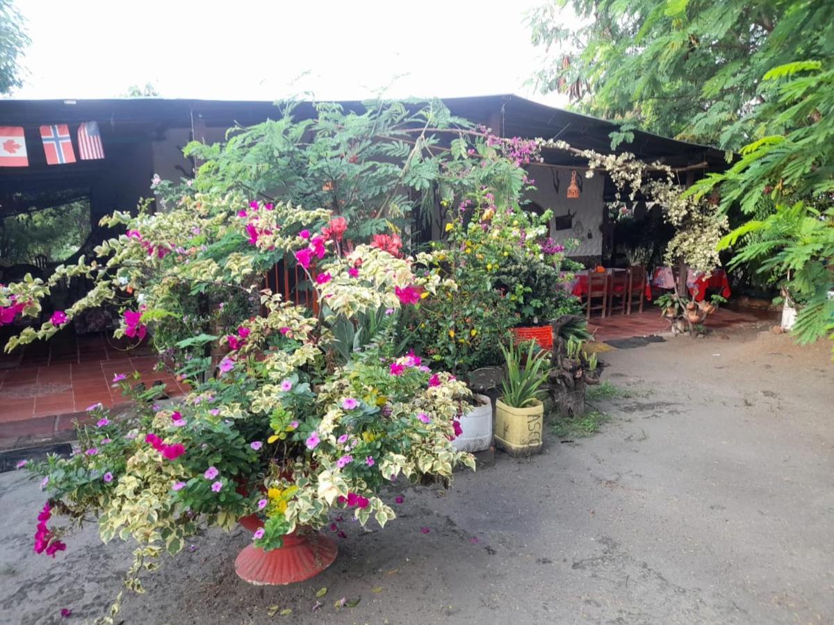 Alojamiento Casa De Campo Los Cactus Villavieja Eksteriør bilde