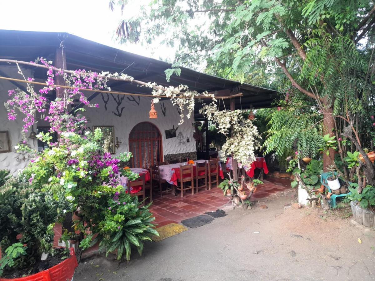 Alojamiento Casa De Campo Los Cactus Villavieja Eksteriør bilde