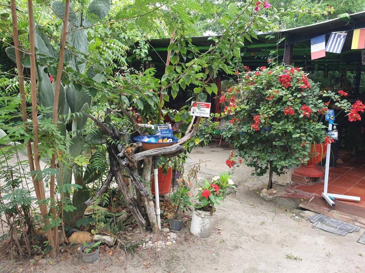 Alojamiento Casa De Campo Los Cactus Villavieja Eksteriør bilde