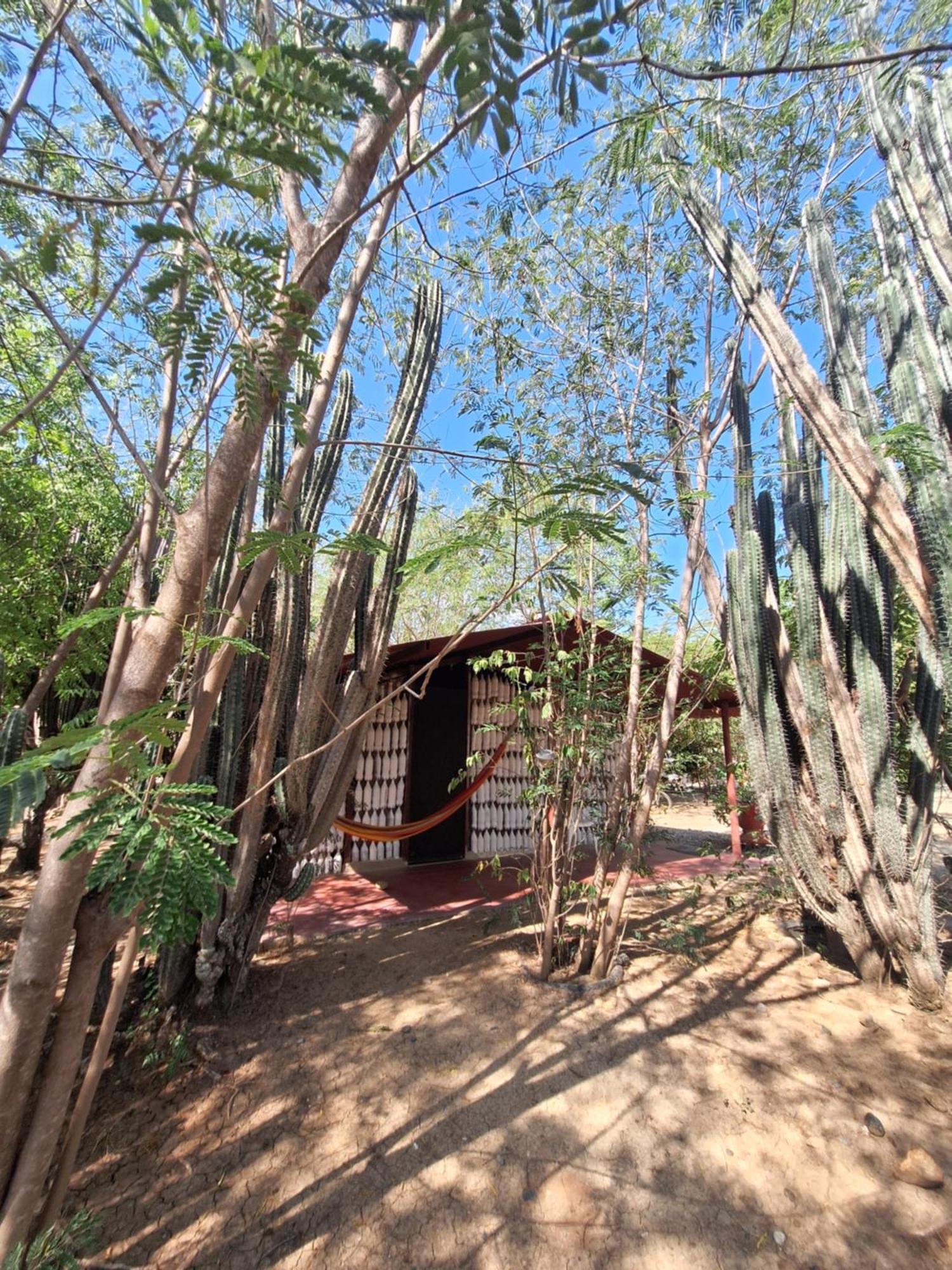 Alojamiento Casa De Campo Los Cactus Villavieja Eksteriør bilde