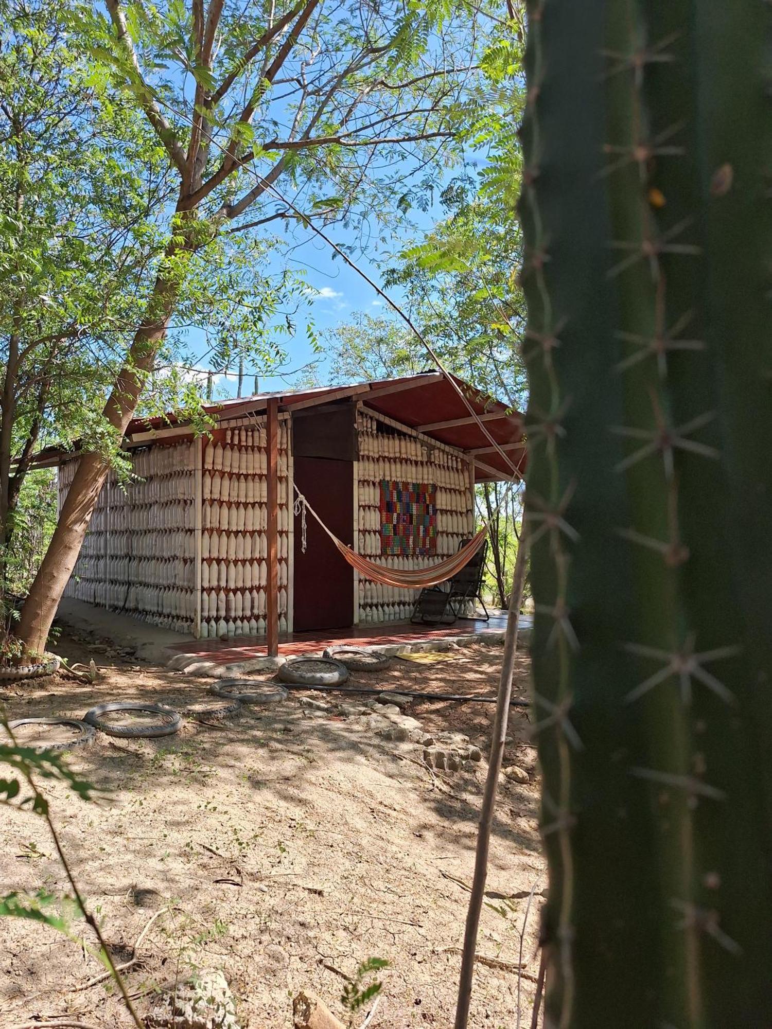 Alojamiento Casa De Campo Los Cactus Villavieja Eksteriør bilde