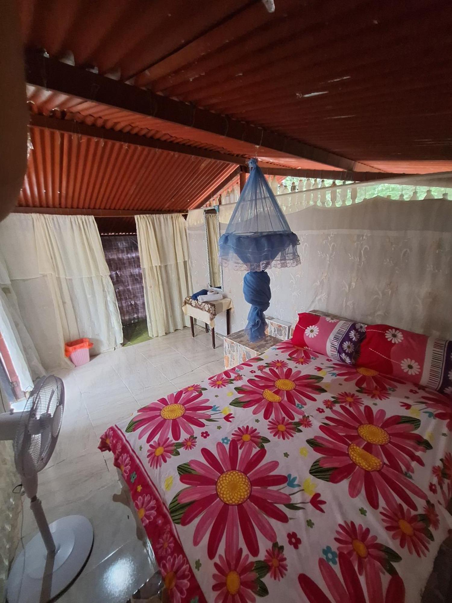 Alojamiento Casa De Campo Los Cactus Villavieja Eksteriør bilde
