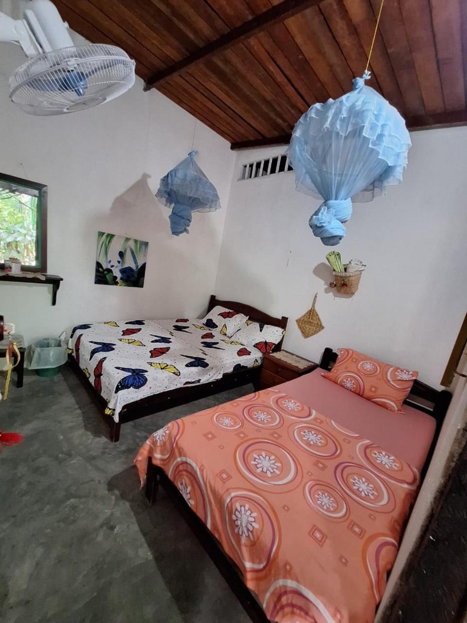 Alojamiento Casa De Campo Los Cactus Villavieja Eksteriør bilde