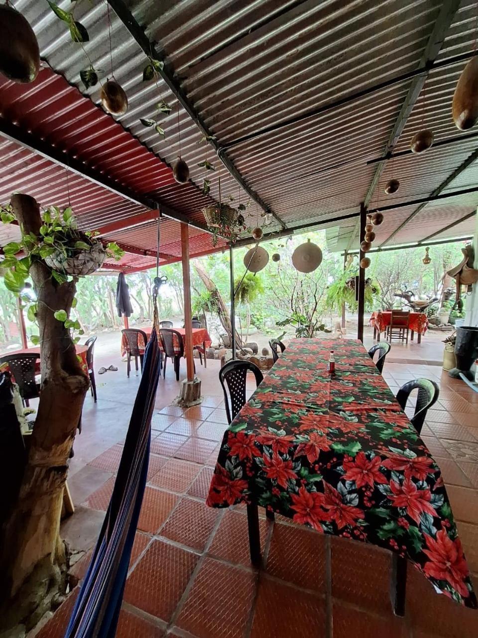 Alojamiento Casa De Campo Los Cactus Villavieja Eksteriør bilde