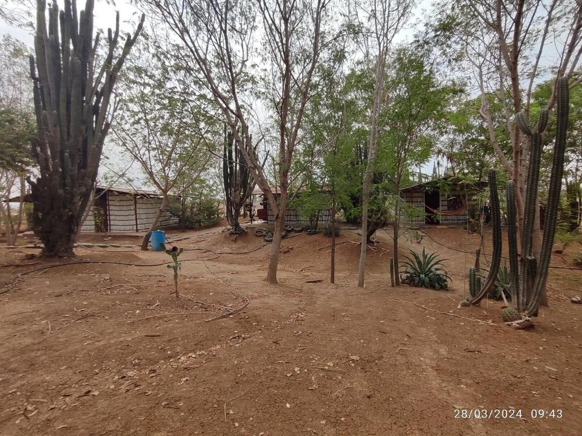 Alojamiento Casa De Campo Los Cactus Villavieja Eksteriør bilde