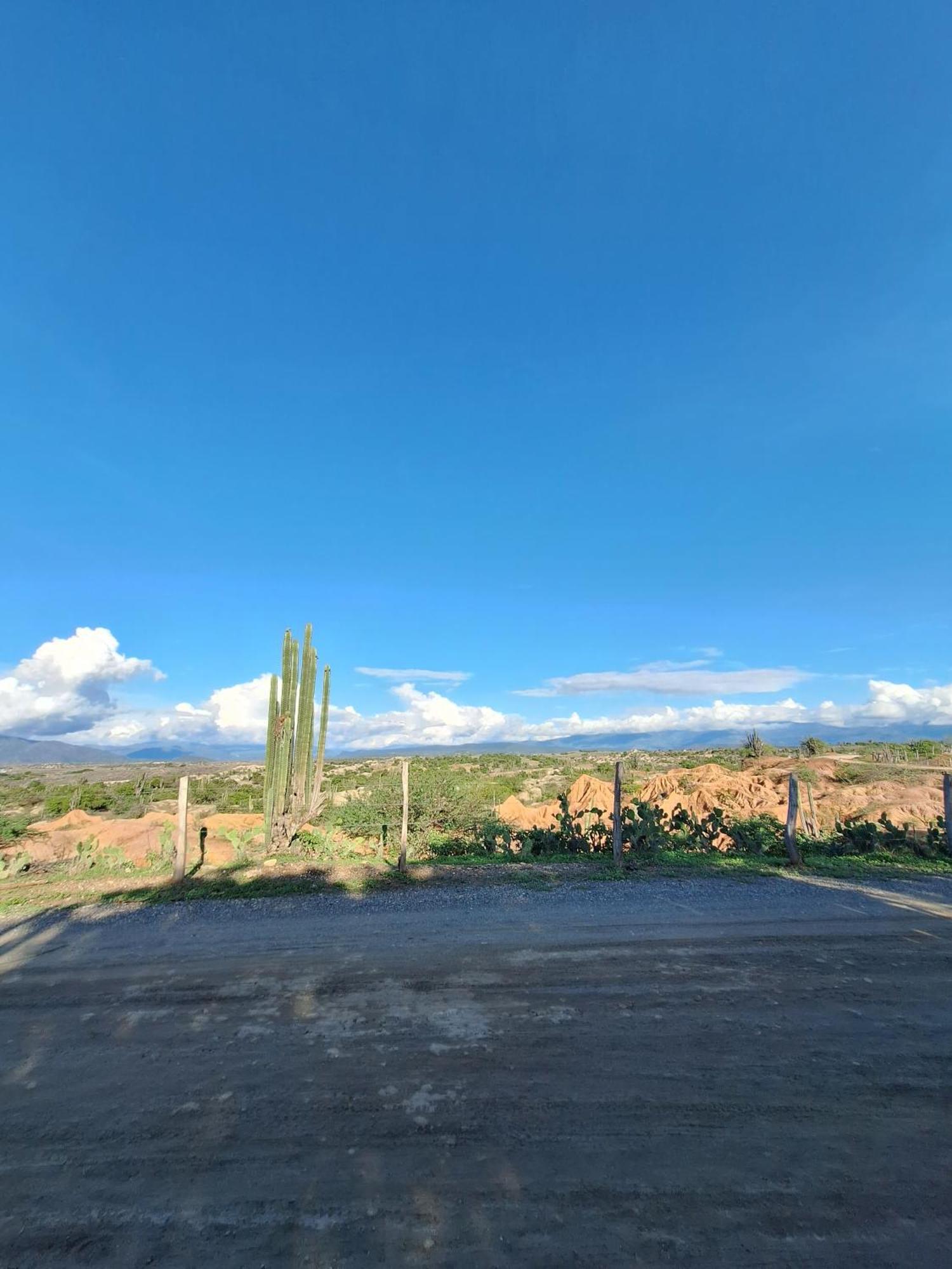 Alojamiento Casa De Campo Los Cactus Villavieja Eksteriør bilde
