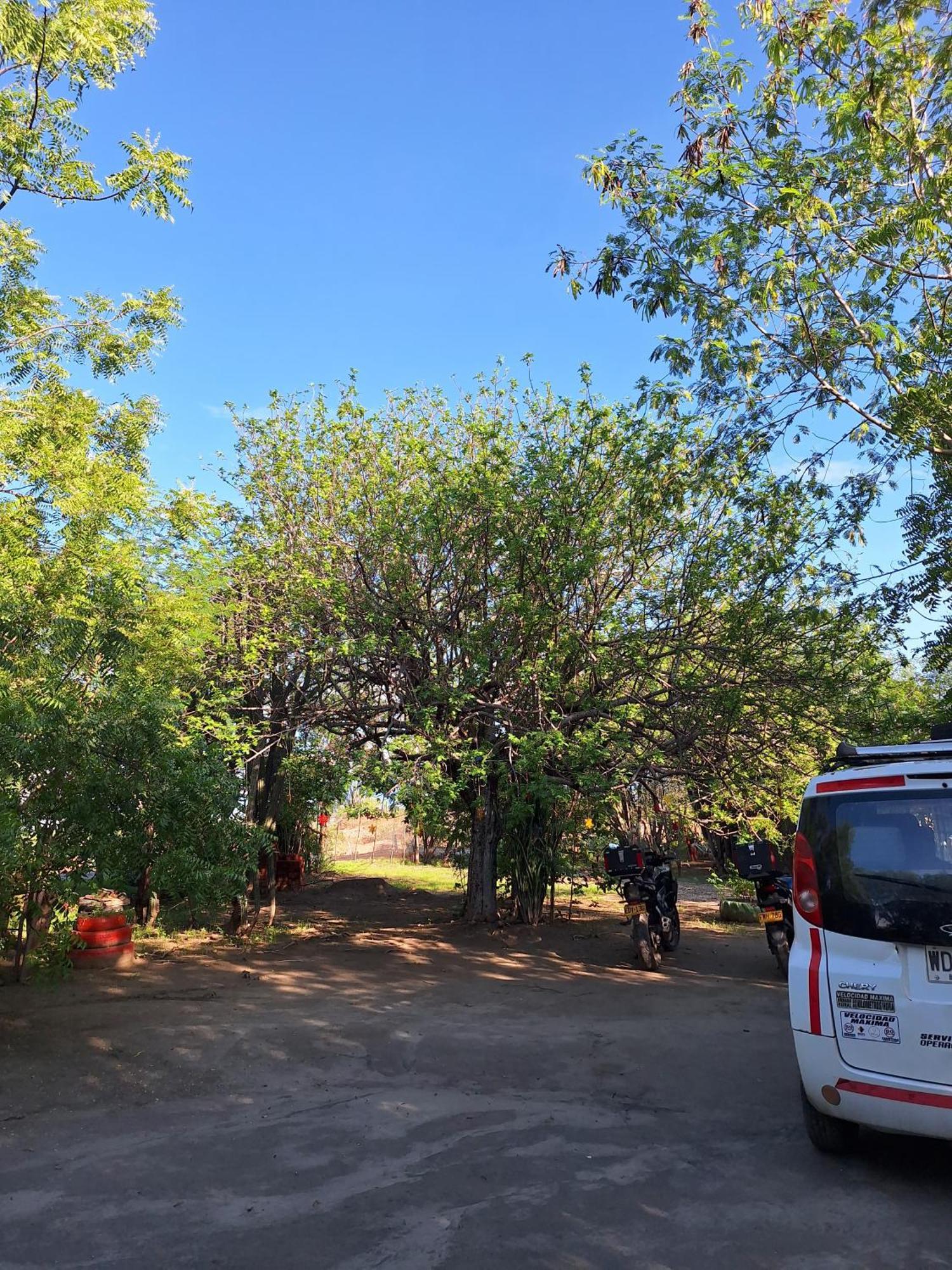 Alojamiento Casa De Campo Los Cactus Villavieja Eksteriør bilde
