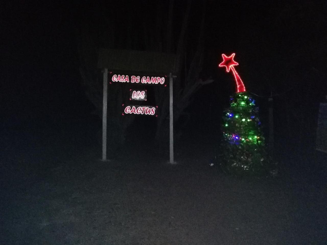 Alojamiento Casa De Campo Los Cactus Villavieja Eksteriør bilde