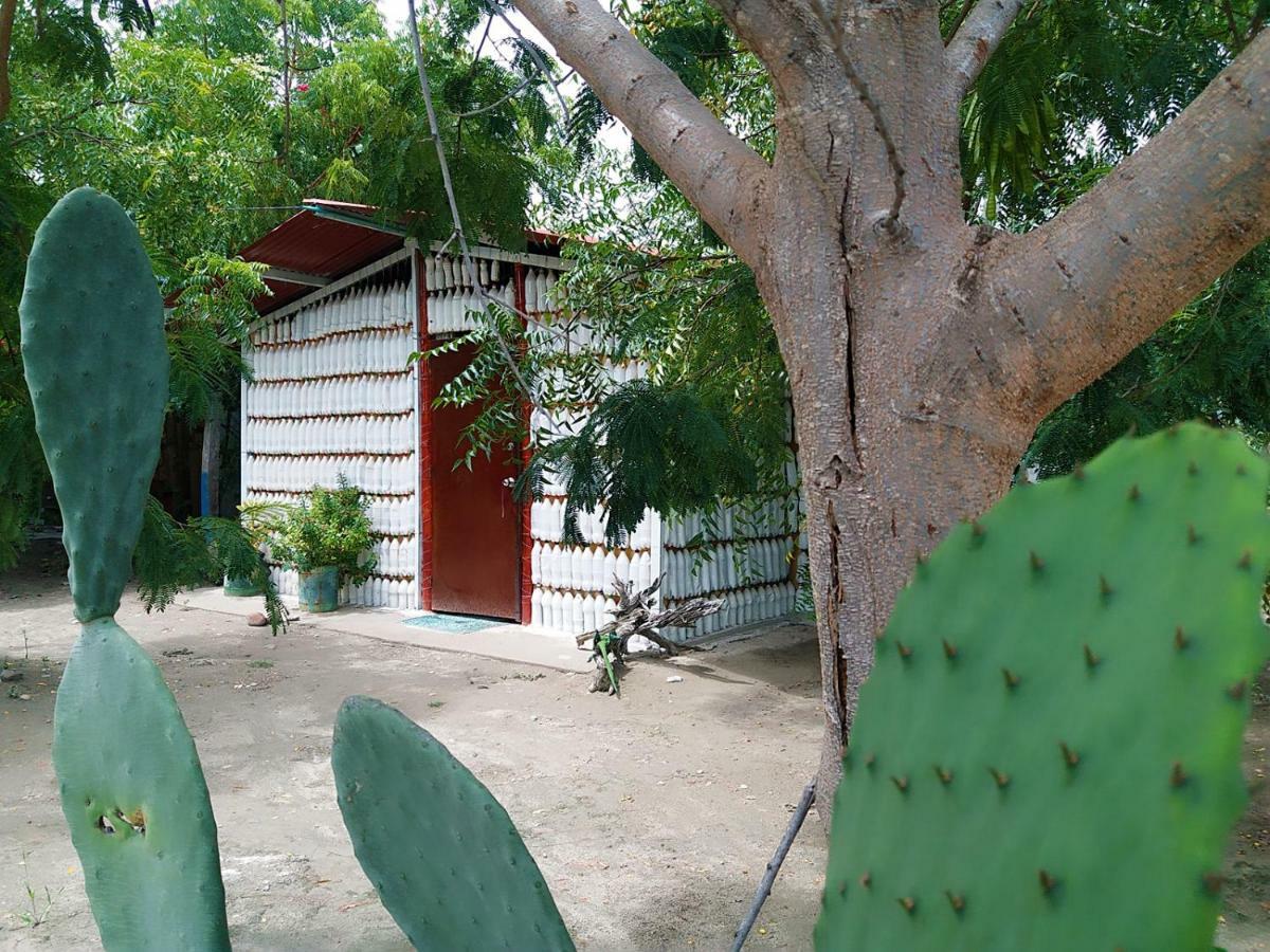 Alojamiento Casa De Campo Los Cactus Villavieja Eksteriør bilde