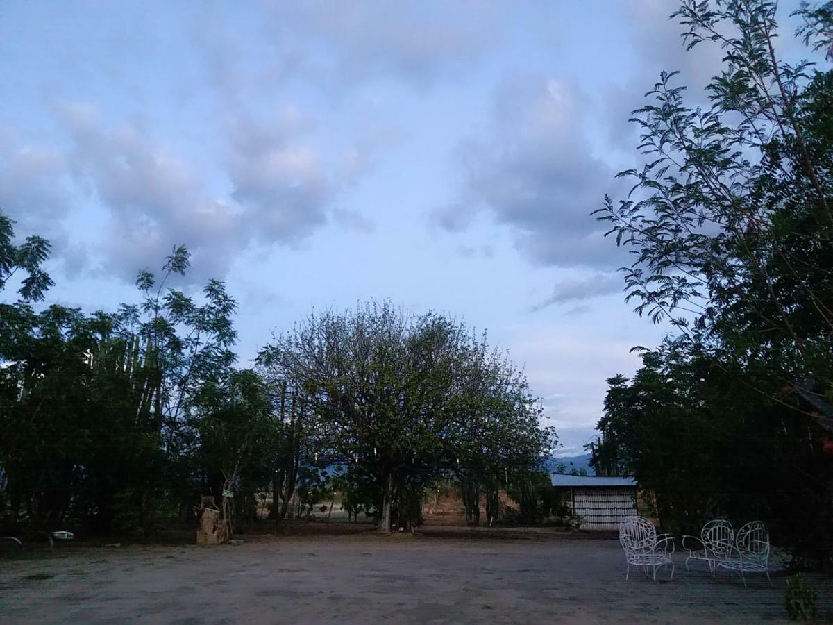 Alojamiento Casa De Campo Los Cactus Villavieja Eksteriør bilde