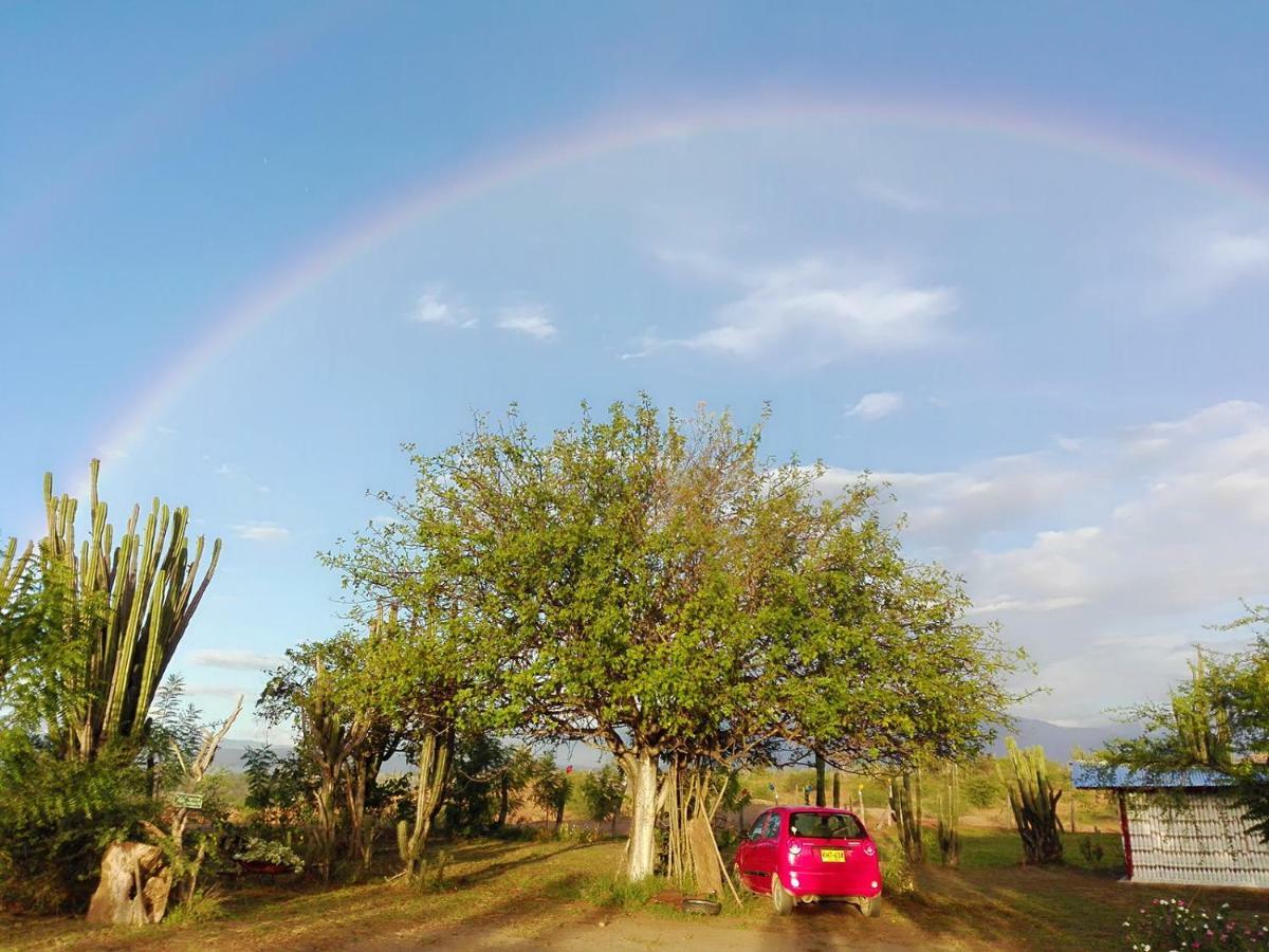 Alojamiento Casa De Campo Los Cactus Villavieja Eksteriør bilde